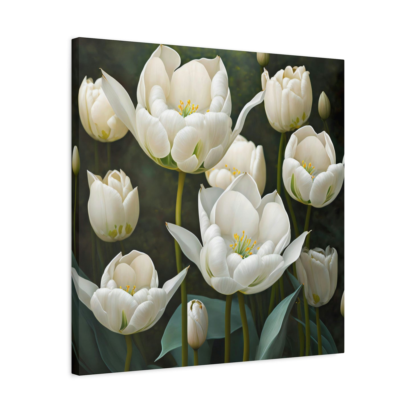 White Tulips - Matte Canvas, Stretched, 1.25"