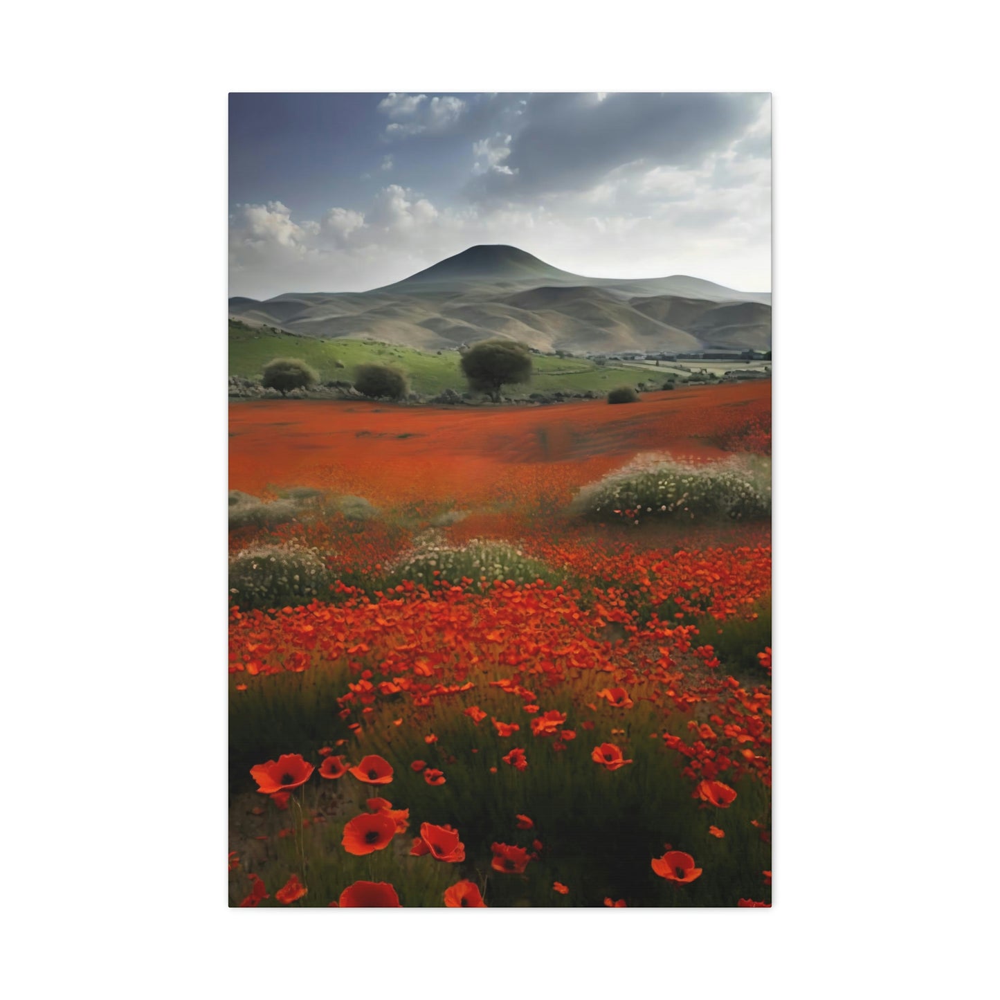 Poppy Field - Matte Canvas, Stretched, 1.25"
