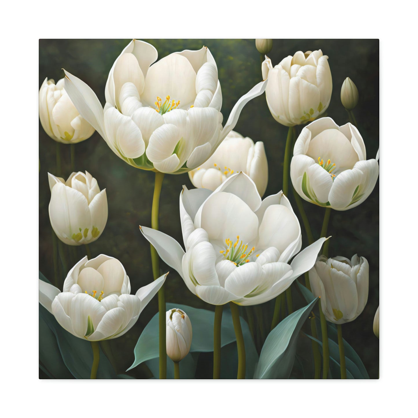 White Tulips - Matte Canvas, Stretched, 1.25"
