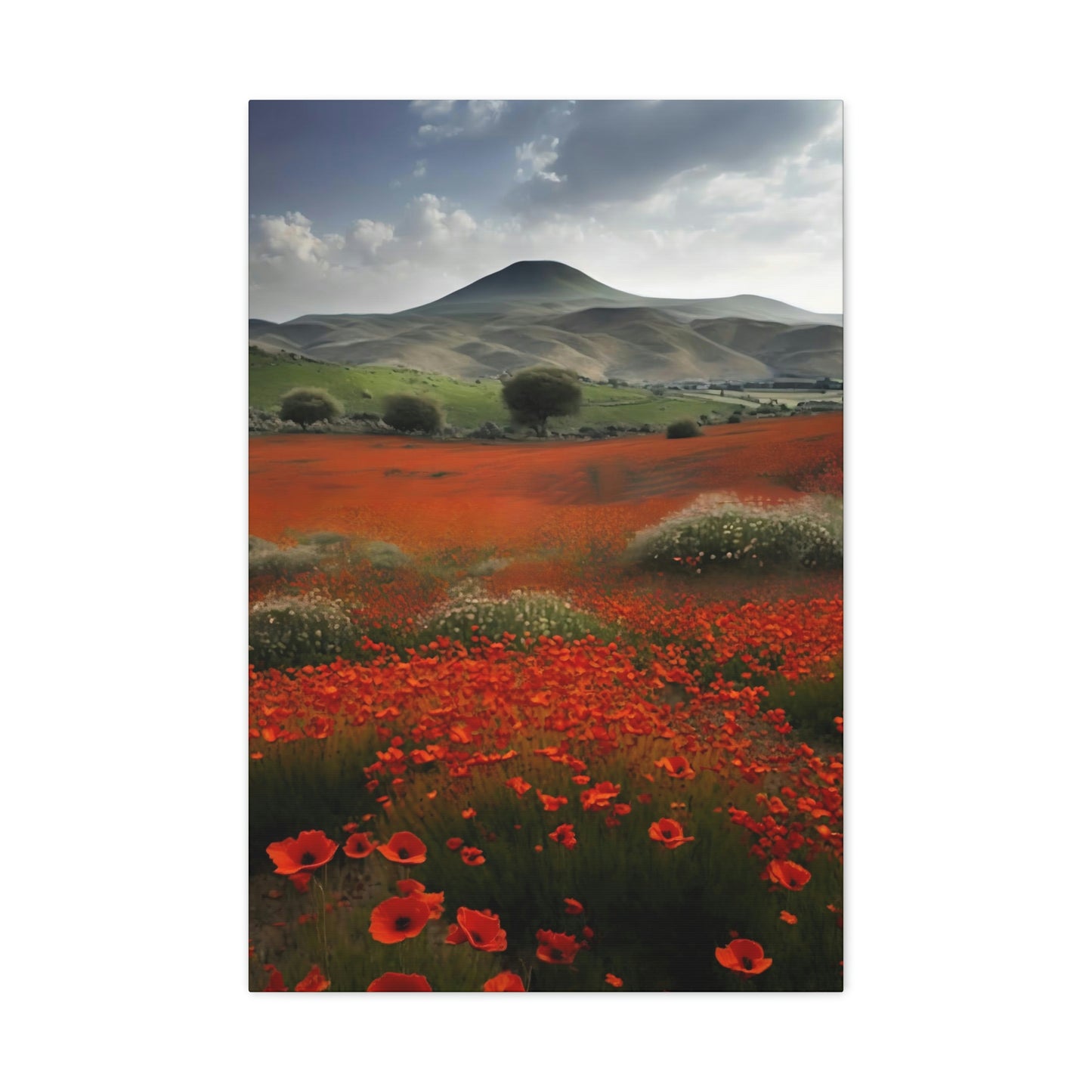 Poppy Field - Matte Canvas, Stretched, 1.25"