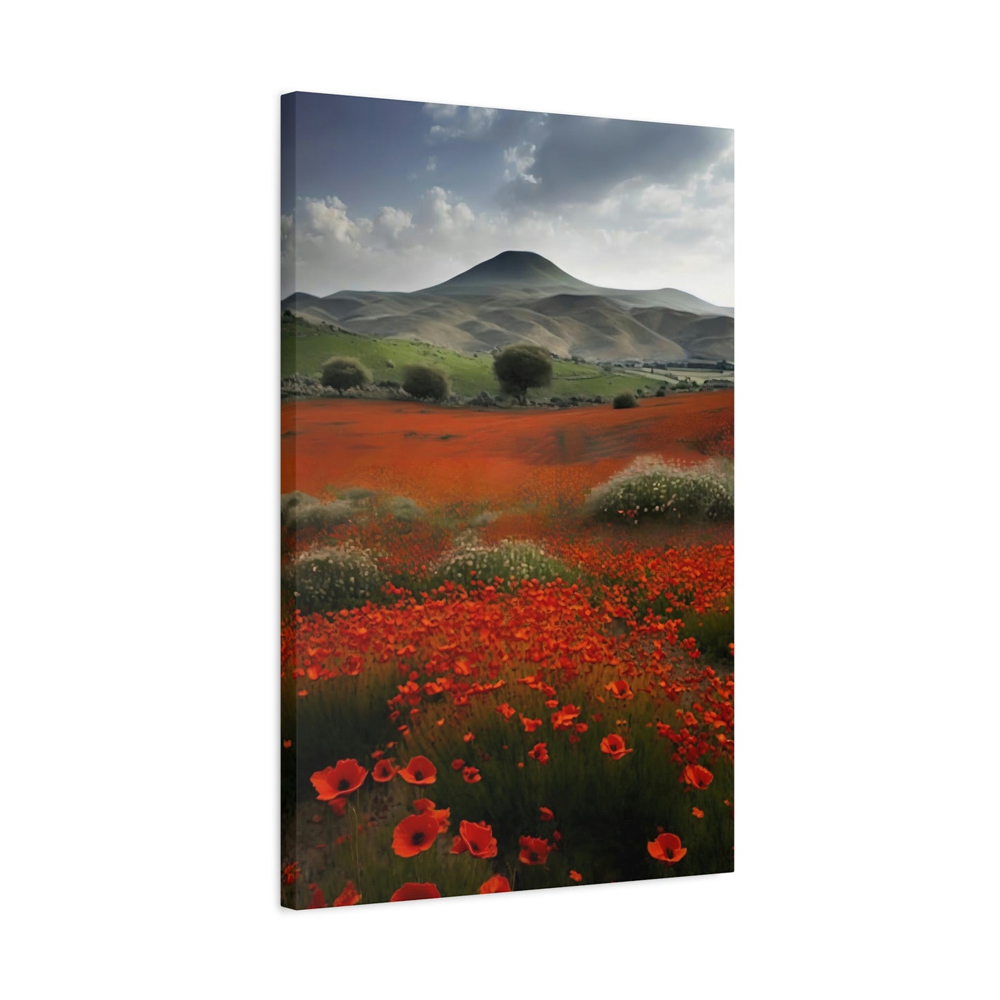 Poppy Field - Matte Canvas, Stretched, 1.25"