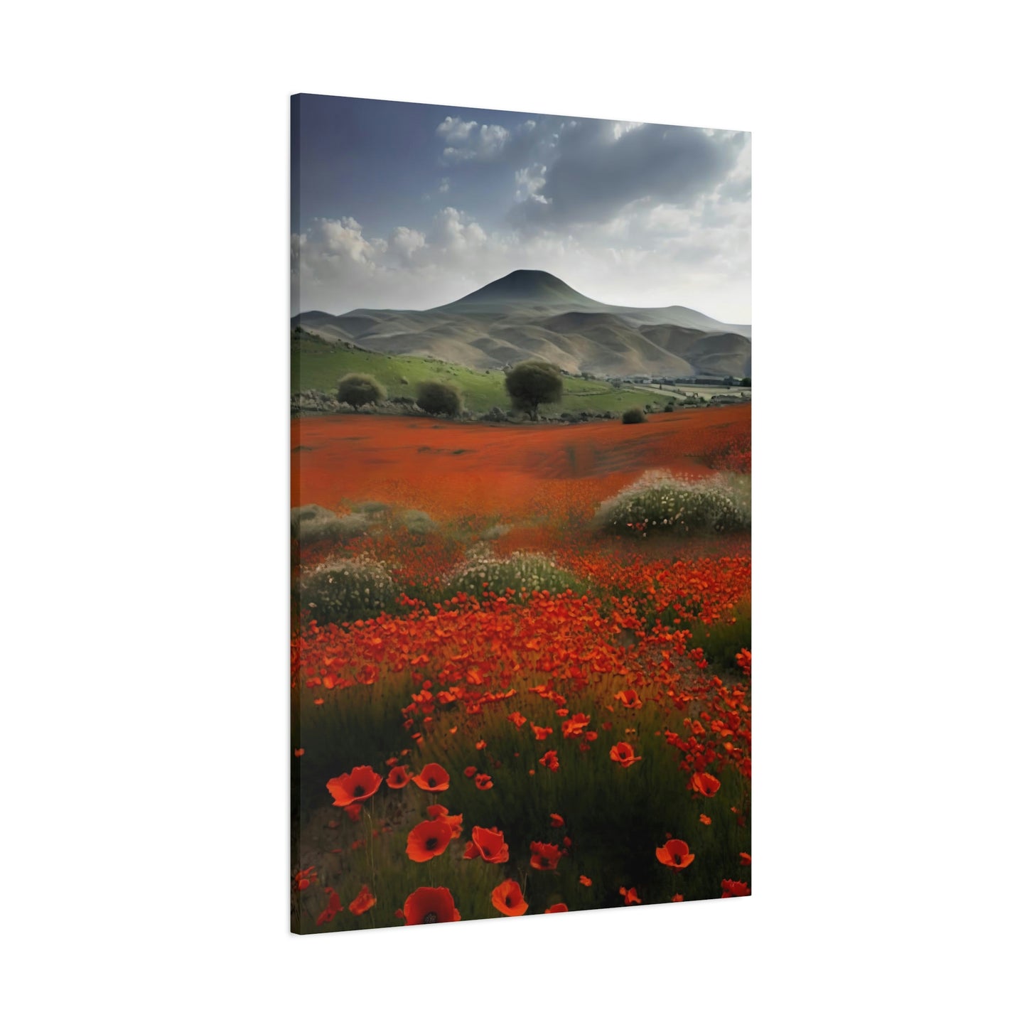 Poppy Field - Matte Canvas, Stretched, 1.25"