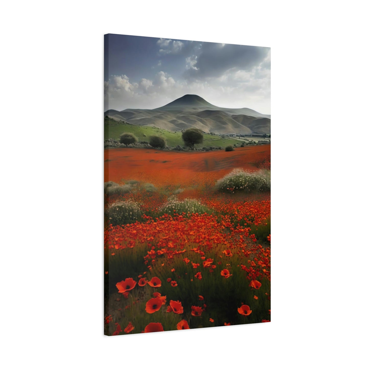 Poppy Field - Matte Canvas, Stretched, 1.25"